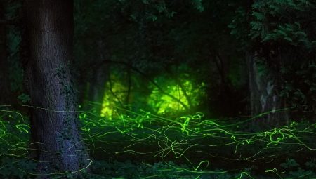 Masalların Kalbinde Aşk ve Prenseslerin Yolculuğu